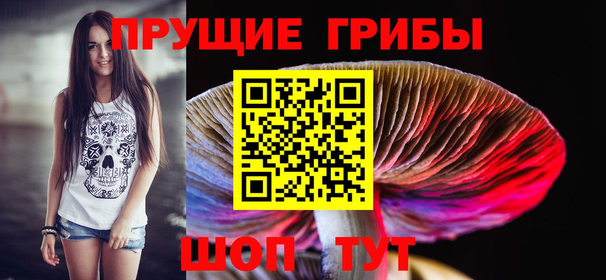 Галлюциногенные грибы ЛСД Губаха